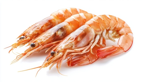 SEAFOOD - PRAWNS COOKED - SIZE 20 SHARK BAY 5KG CARTON